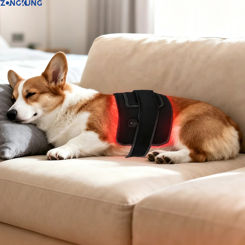Red Light Therapy for Pets Vet - Galvanic Skin Sensor 评论和价格